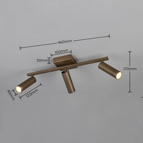 Trio Lighting Stropní bodové světlo Dara, délka 46 cm, platinově zbarvený kov, 3ramenný, Hliník / šedá / zinek, Obývací pokoj / jídelna, kov, Moderní