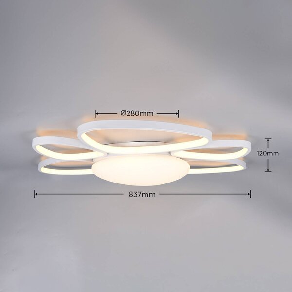 Trio Lighting LED stropní svítidlo Amelio, bílé, 85 cm, dálkové ovládání, stmívatelný, Bílá / opál, Obývací pokoj / jídelna, Plast, Moderní