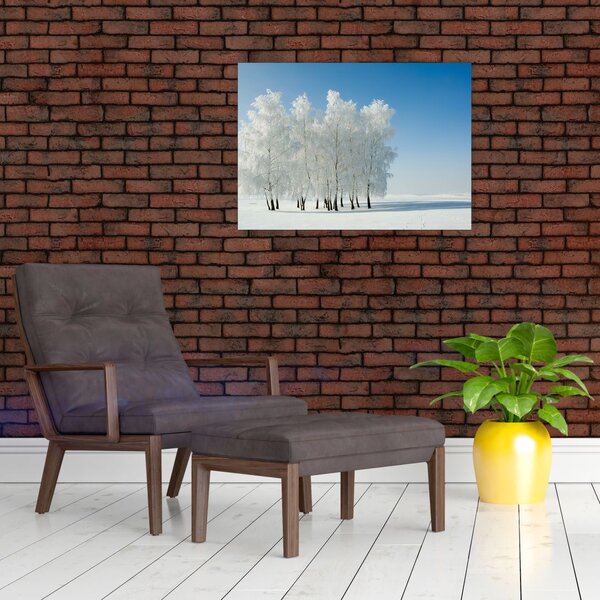 Obraz zasněžené krajiny (70x50 cm)