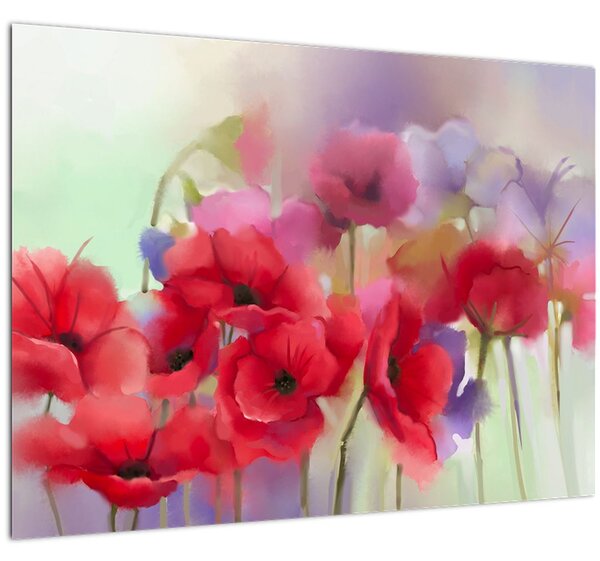 Obraz vlčích máků (70x50 cm)