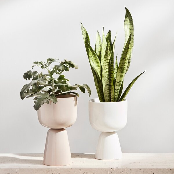 Iittala Květináč Nappula S, vysoký / béžový