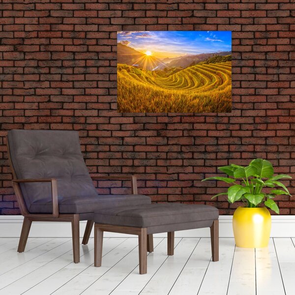 Obraz - Rýžové terasy ve Vietnamu (70x50 cm)
