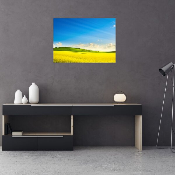 Obraz - Jarní nebe (70x50 cm)