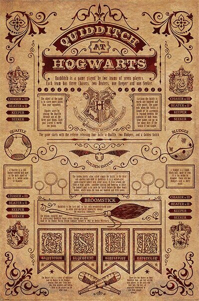 Plakát, Obraz - Harry Potter - Famfrpál
