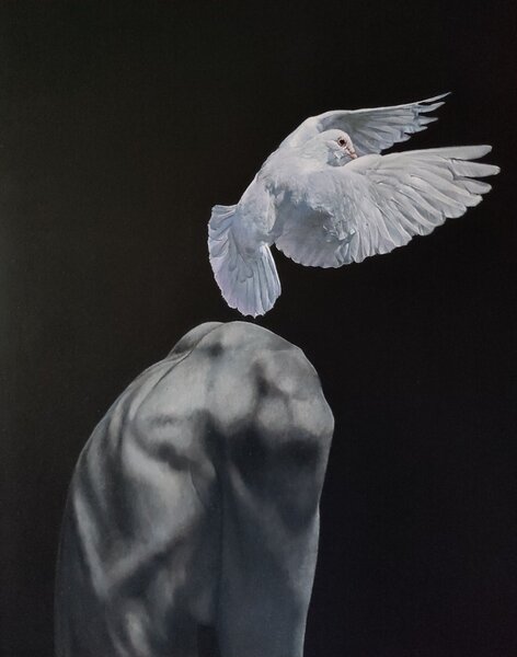 Ručně malovaný obraz od Juro Samek - "Dove", rozměr: 40 x 50 cm