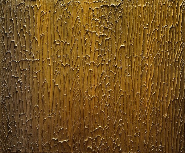Ručně malovaný obraz od Matúš Juščák - "Zlatá kůra", rozměr: 60 x 50 cm