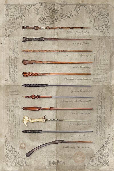 Plakát, Obraz - Harry Potter - The Wand Chooses The Wizard, (61 x 91 cm)