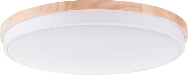 Brilliant - LED Stm stropní svítidlo BAARLO LED/36W/230V pr. 50 cm bílá + DO