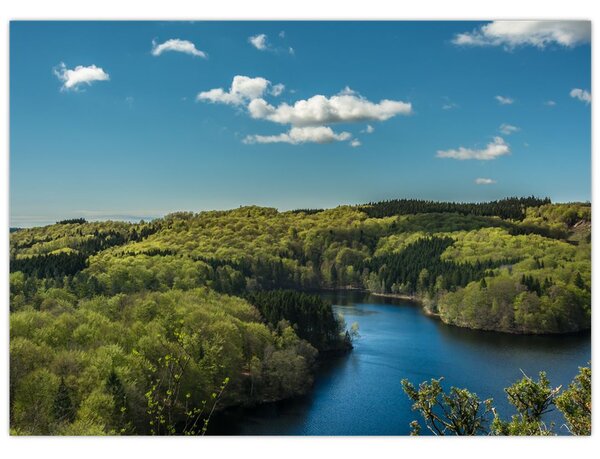 Obraz - Jezero v lesích (70x50 cm)