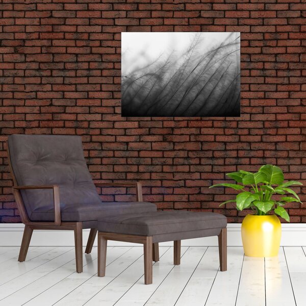 Obraz - Tráva ve větru (70x50 cm)