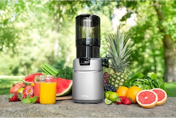 Concept LO7120 - Šnekový odšťavňovač JUICY 250W/230V šedá