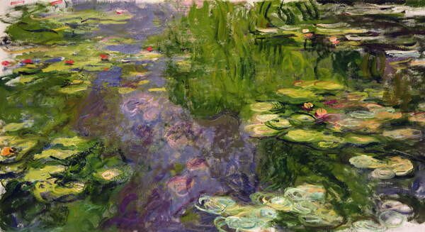 Obrazová reprodukce Lekníny, Claude Monet