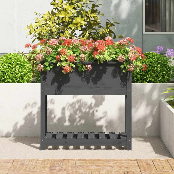 Truhlík s policí šedý 82,5 x 34,5 x 81 cm masivní borové dřevo