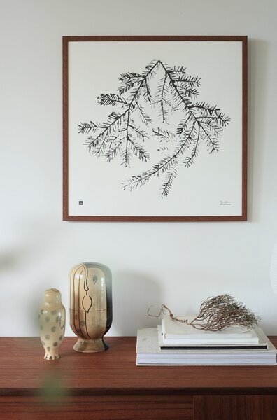 Teemu Järvi Plakát Spruce Branch 50x50