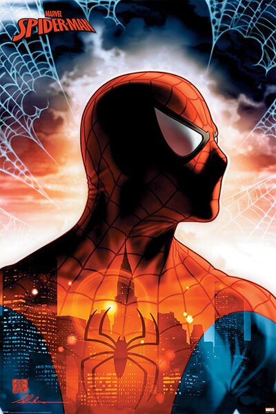 Plakát, Obraz - Spider-Man - Protector Of The City