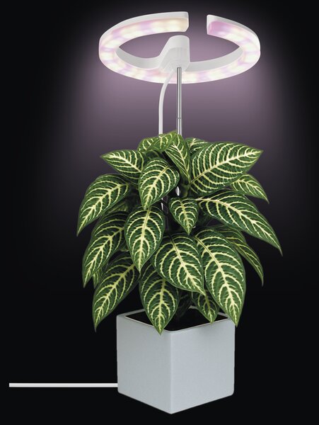 Pěstební lampa GROW Z7902 bílá