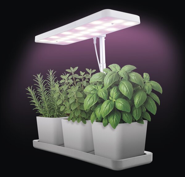 Pěstební lampa GROW Z7904 bílá