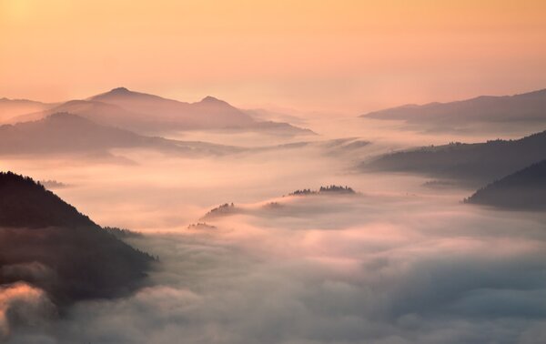 Umělecká fotografie foggy morning in the mountains, fproject - Przemyslaw, (40 x 26.7 cm)