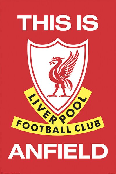 Plakát, Obraz - Liverpool FC - This Is Anfield, (61 x 91.5 cm)