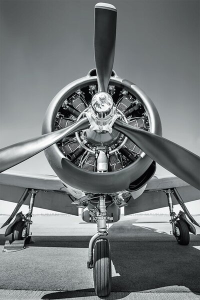 Plakát, Obraz - Letadlo - Propeller
