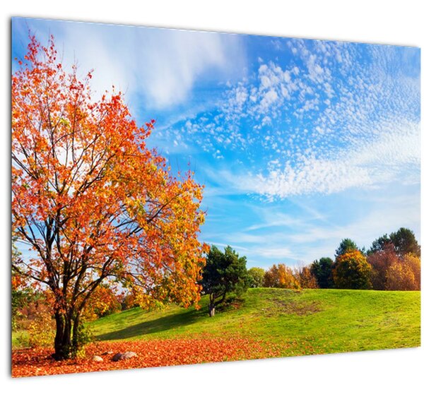 Obraz - Podzimní krajina (70x50 cm)