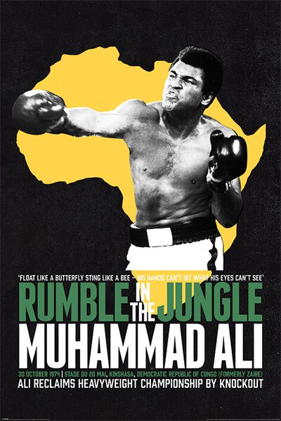 Plakát, Obraz - Muhammad Ali - Rumble in the Jungle
