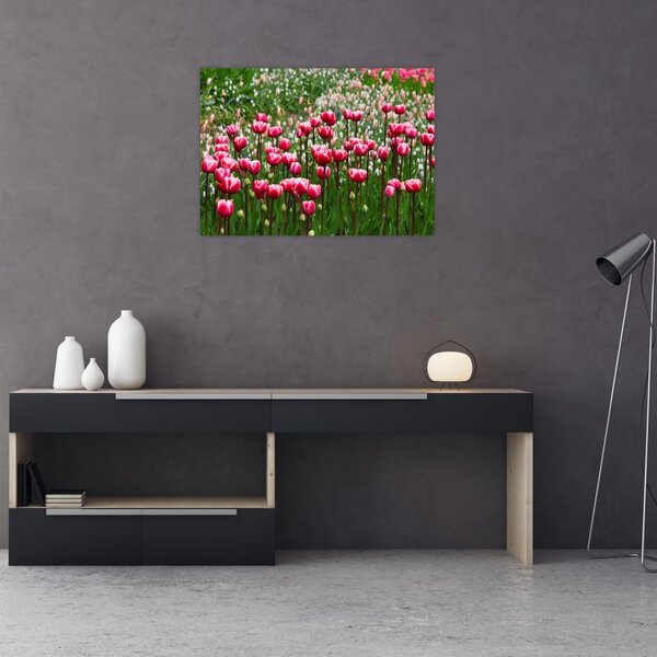 Obraz tulipánů (70x50 cm)