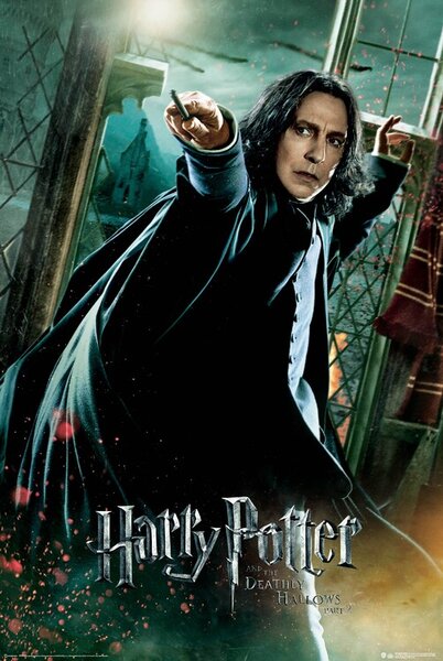 Plakát, Obraz - Harry Potter - Severus Snape