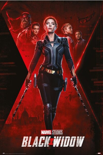 Plakát, Obraz - Black Widow - Nedokončený úkol