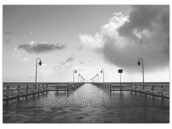 Obraz - Promenáda u pobřeží (70x50 cm)