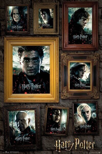 Plakát, Obraz - Harry Potter - Portrét