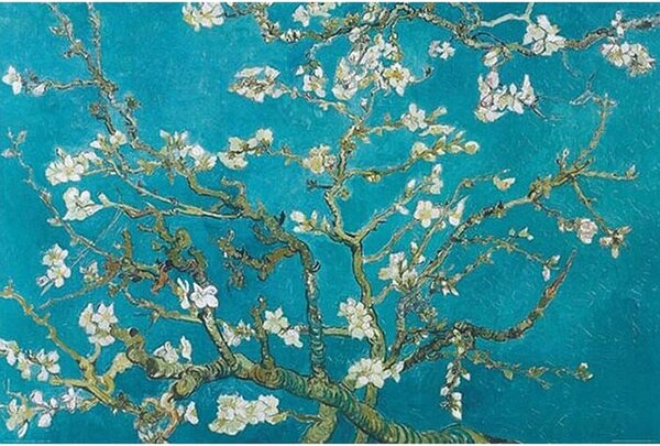 Plakát, Obraz - Květy mandloní, (91.5 x 61 cm)