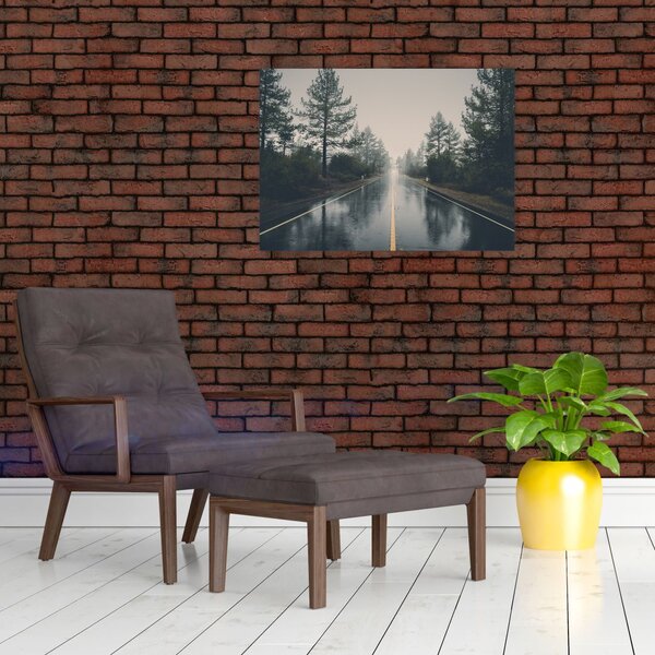 Obraz silnice v dešti (70x50 cm)