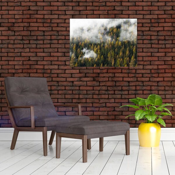 Obraz lesa v mracích (70x50 cm)
