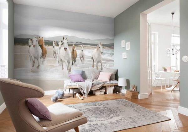 FOTOTAPETA velikost: 368/254 cm - Online Only tapety, Online Only