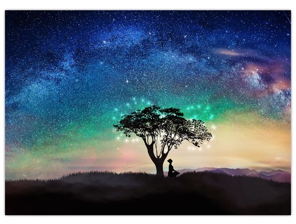Obraz - Odpočinek pod hvězdami (70x50 cm)