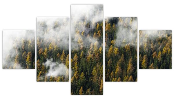 Obraz lesa v mracích (125x70 cm)