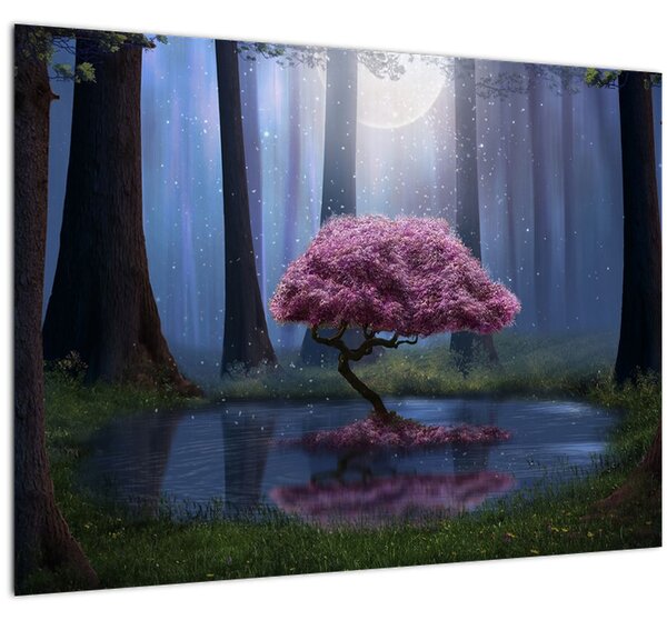 Obraz - Magická noc (70x50 cm)