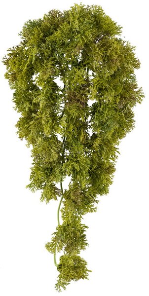 Umělá Popínavka mechová, 36cm