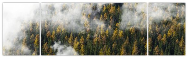 Obraz lesa v mracích (170x50 cm)