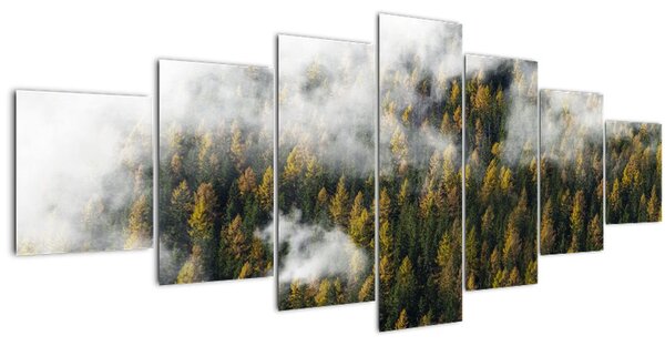 Obraz lesa v mracích (210x100 cm)