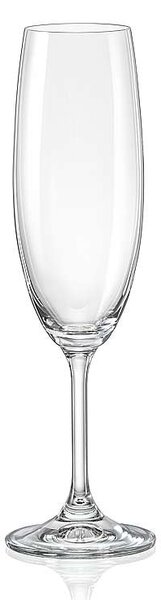 Crystalex Sklenice na sekt Lara 220 ml 6 ks