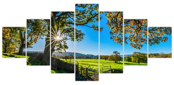 Obraz - Výhled na pole (210x100 cm)