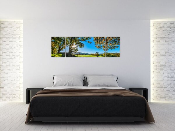 Obraz - Výhled na pole (170x50 cm)