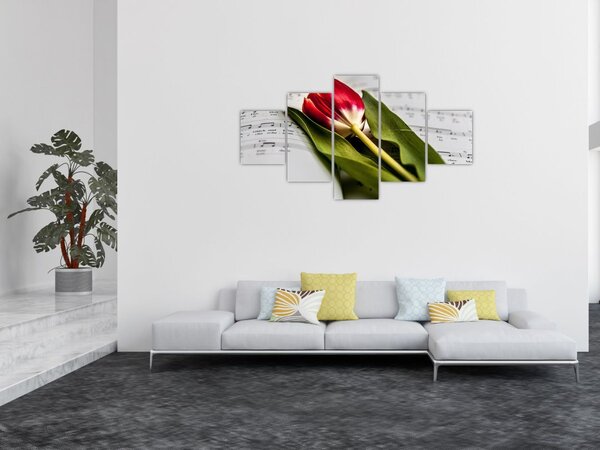 Obraz červeného tulipánu (125x70 cm)