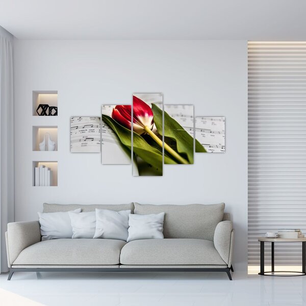 Obraz červeného tulipánu (125x70 cm)