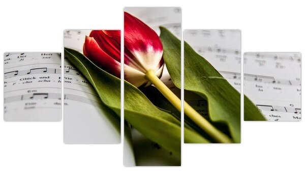 Obraz červeného tulipánu (125x70 cm)