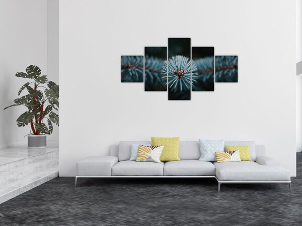 Obraz větvičky jehličnatého stromu (125x70 cm)