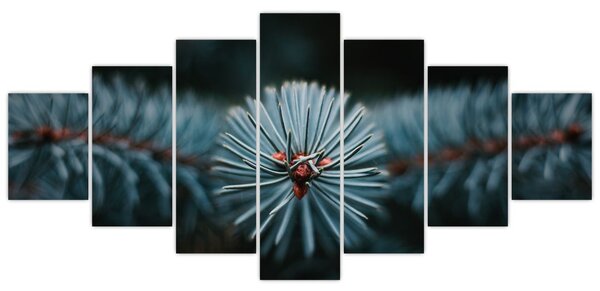Obraz větvičky jehličnatého stromu (210x100 cm)
