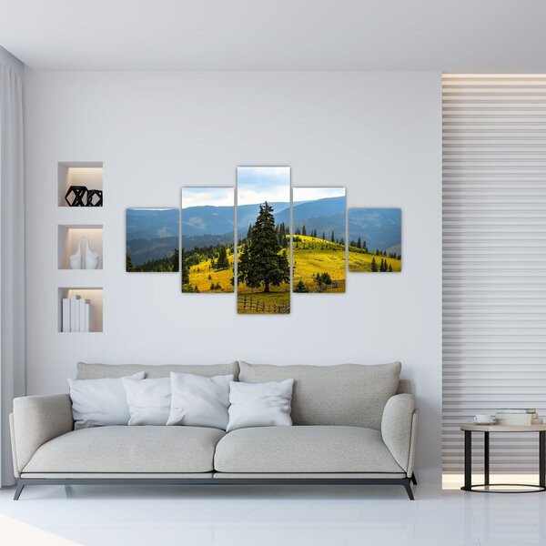 Obraz - Horská louka (125x70 cm)